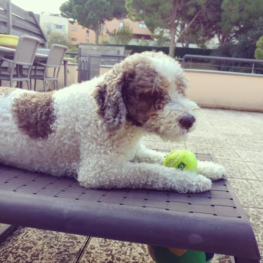 Apartment Sa Boadella Beach, Lloret De Mar - Costa Brava 외부 사진