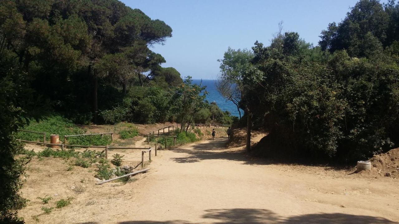 Apartment Sa Boadella Beach, Lloret De Mar - Costa Brava 외부 사진