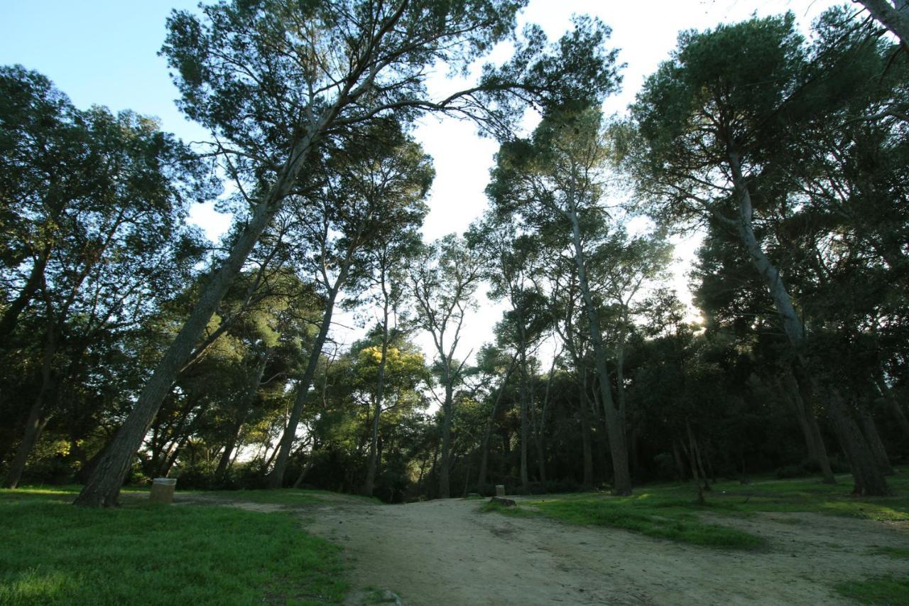 Apartment Sa Boadella Beach, Lloret De Mar - Costa Brava 외부 사진